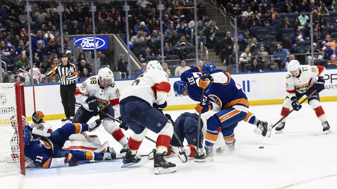 Florida panthers