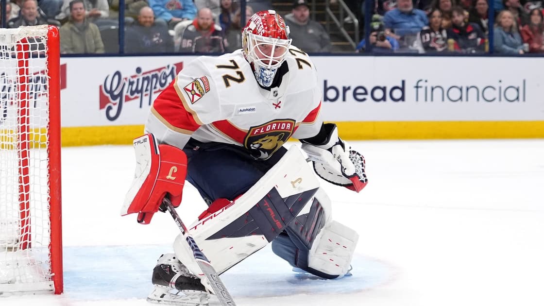 Florida panthers
