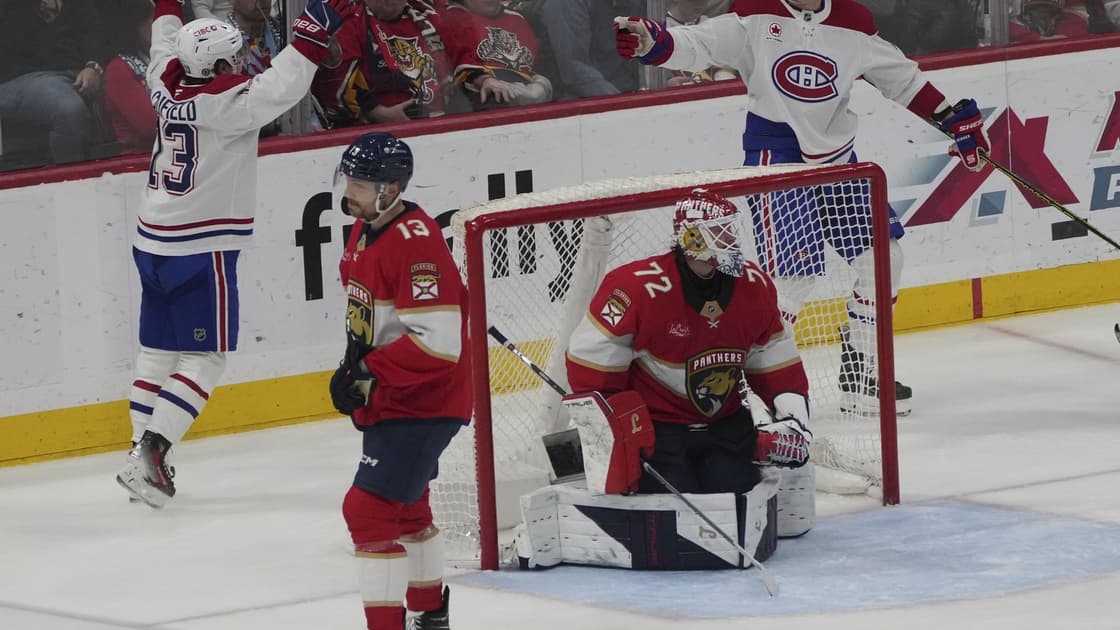 Florida panthers