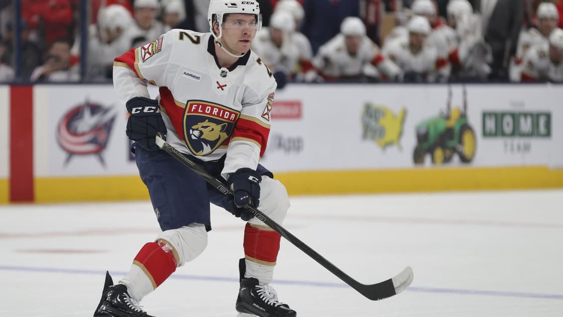 Florida panthers
