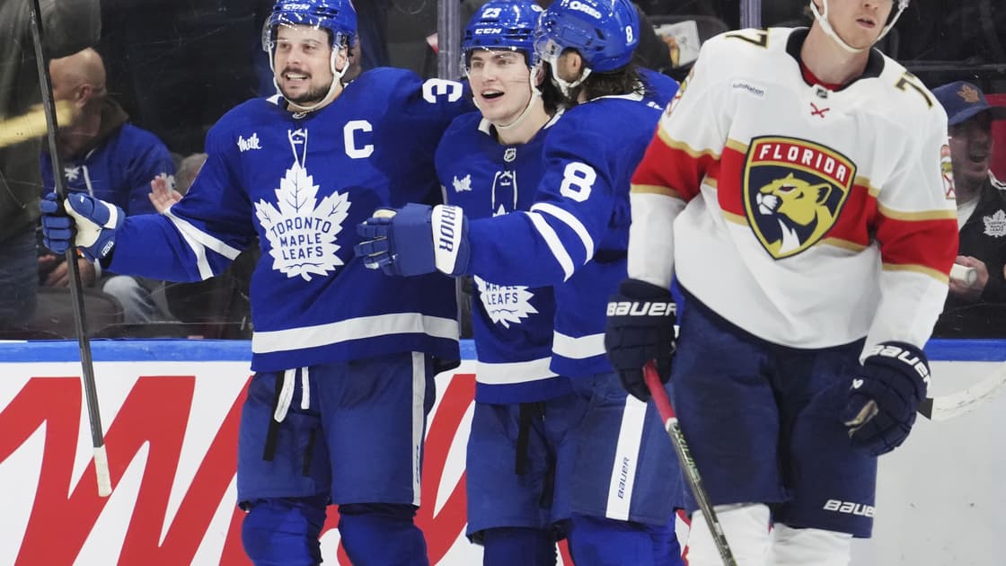 Florida panthers