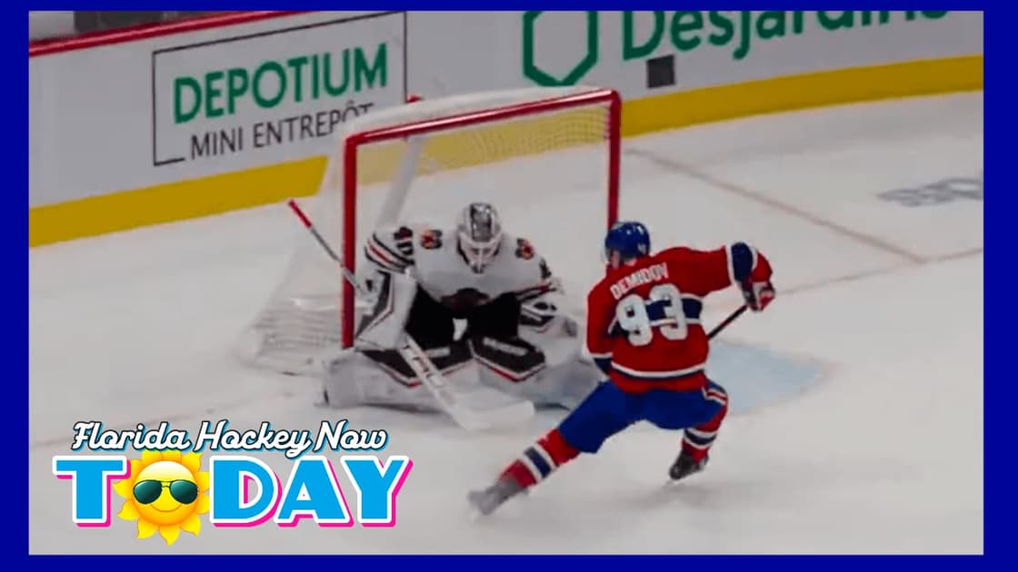 NHL playoff
