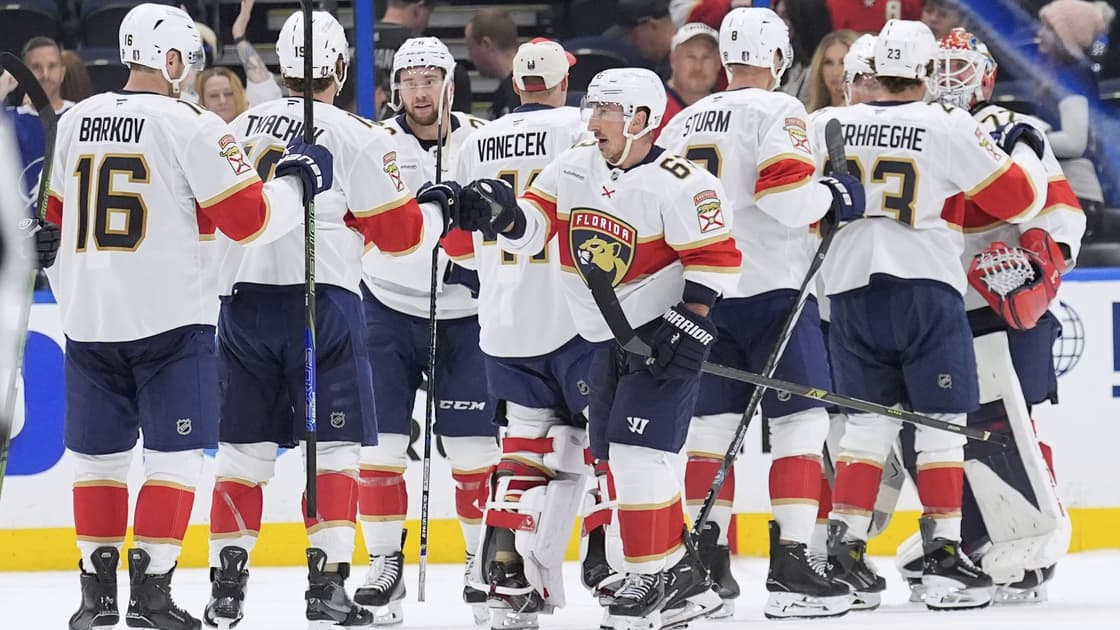 florida panthers
