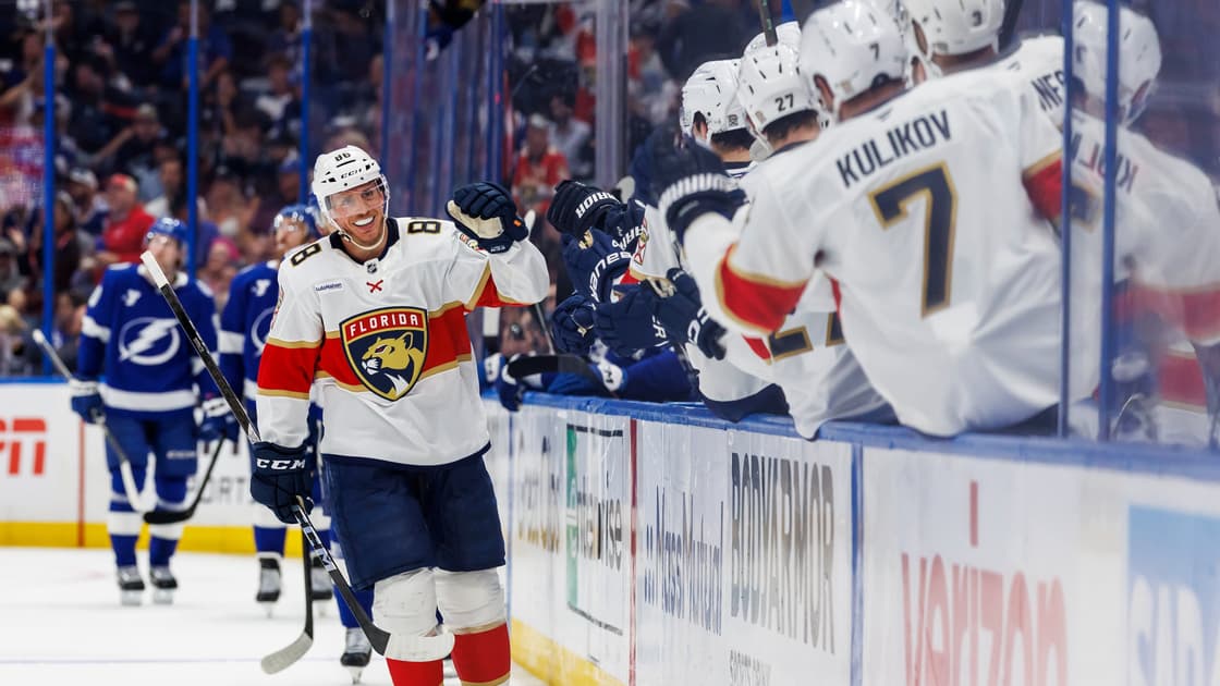 Florida panthers