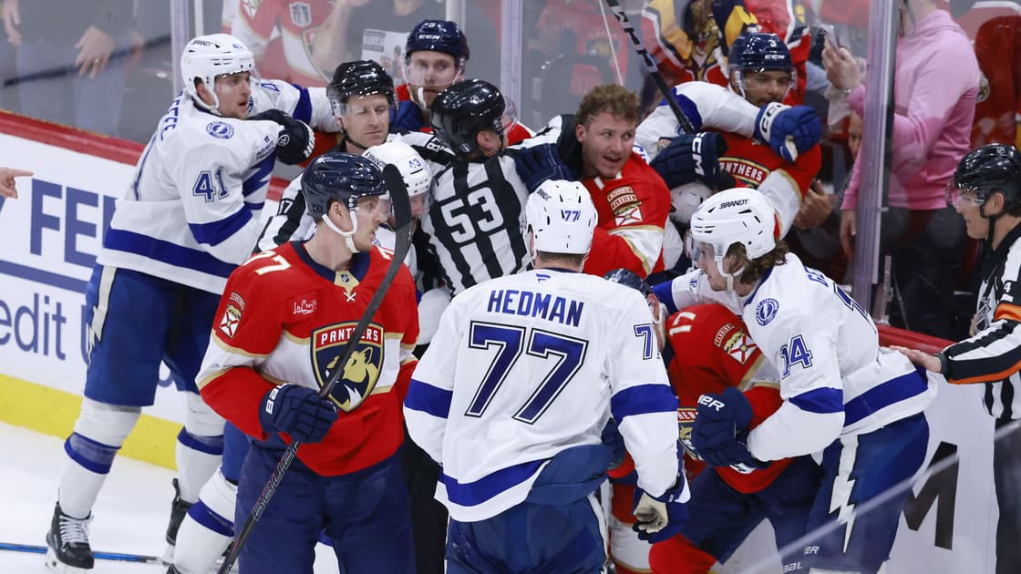 Florida panthers