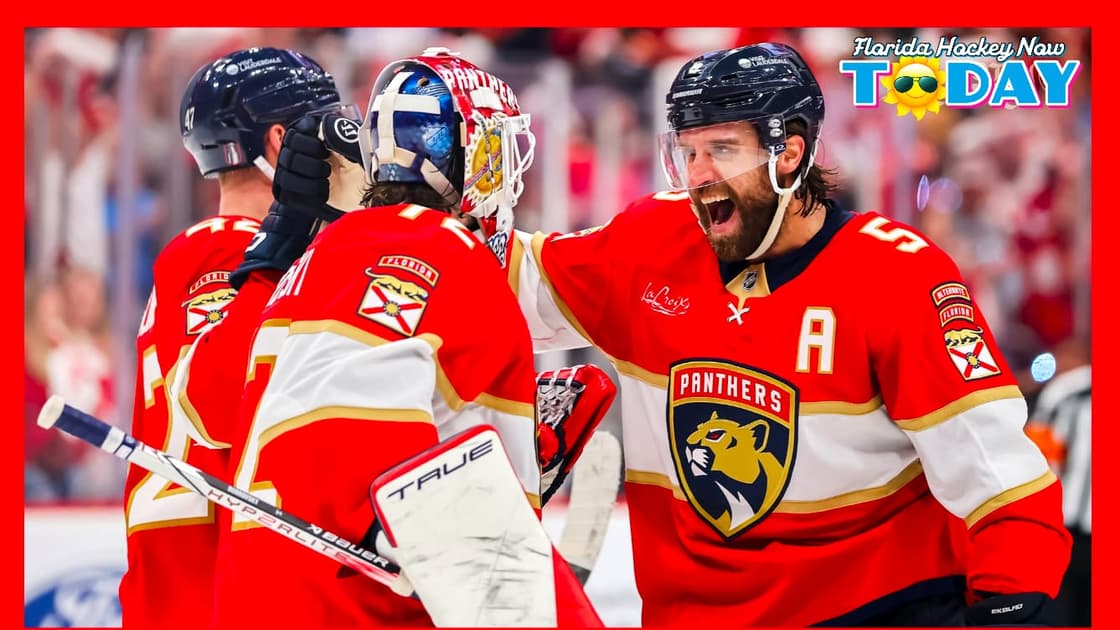 Florida panthers