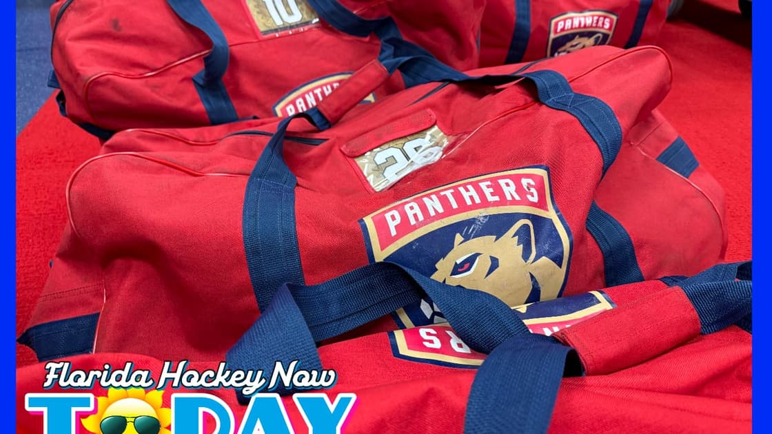 Florida panthers