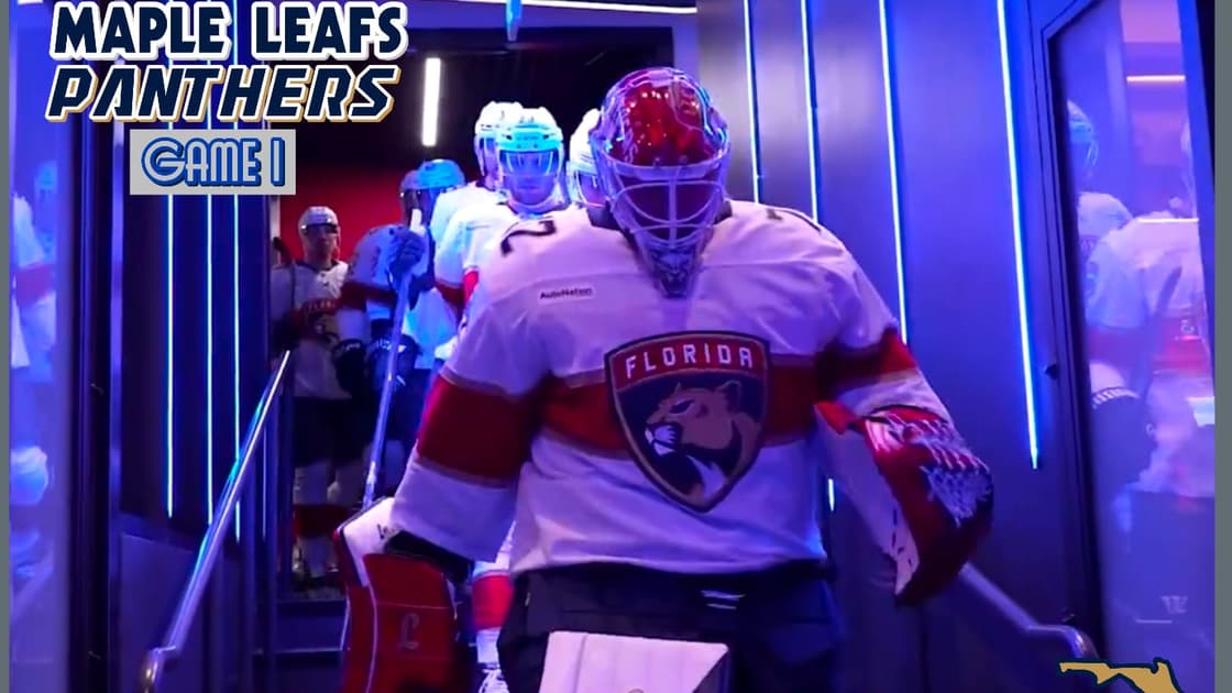 Leafs panthers