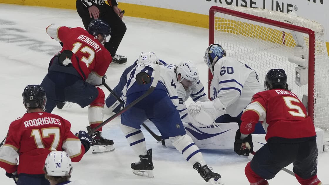 Florida panthers