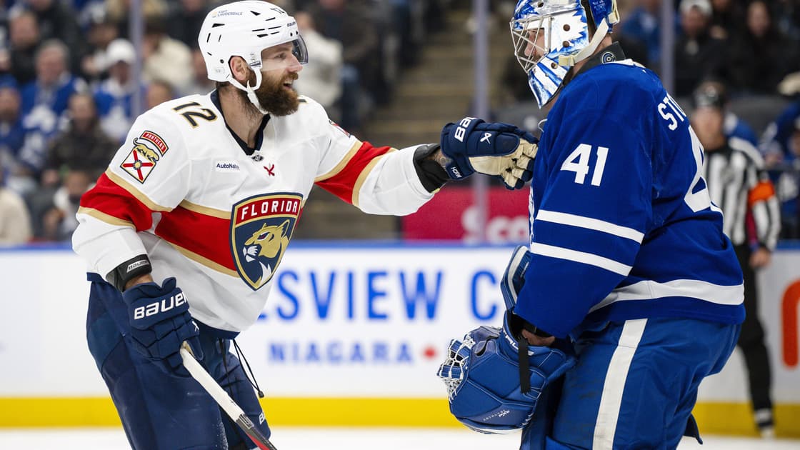 Florida panthers