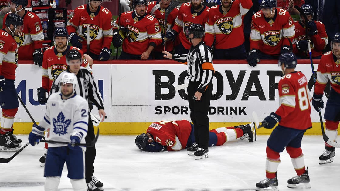 Florida panthers