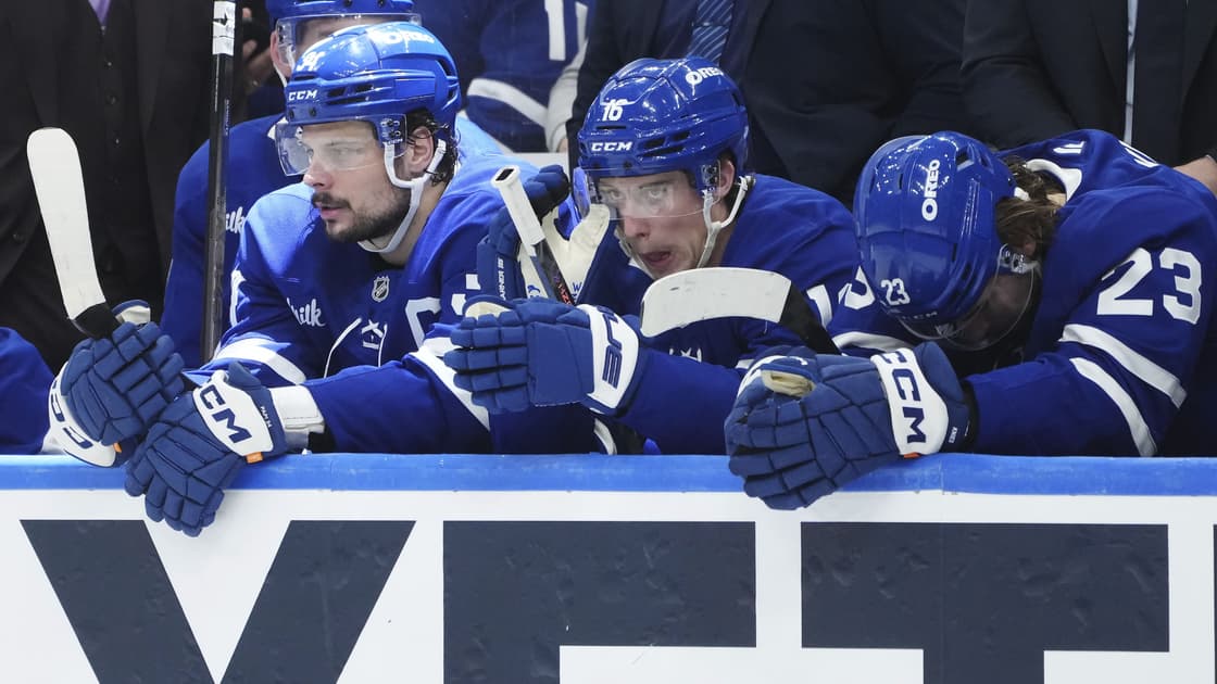 Leafs panthers