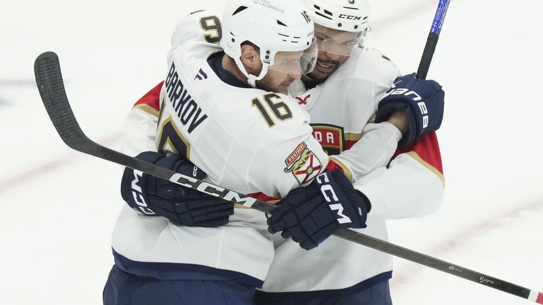 Florida panthers