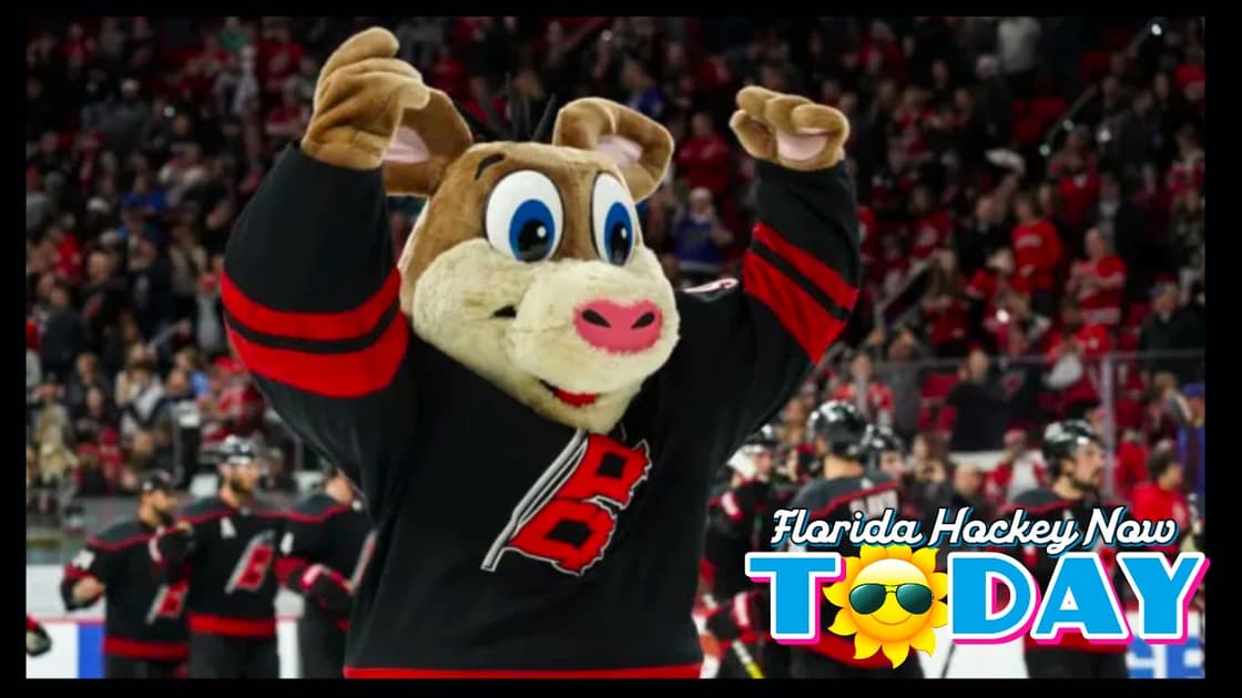 Panthers hurricanes