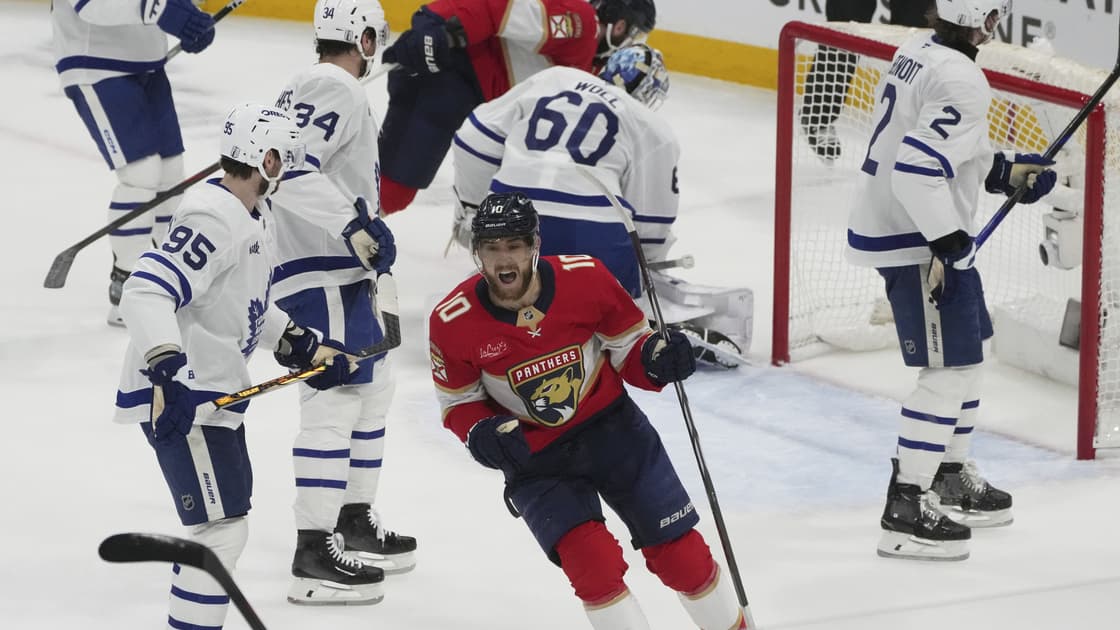 Florida panthers