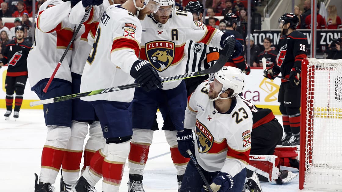 Florida panthers