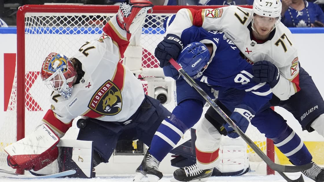 Florida panthers