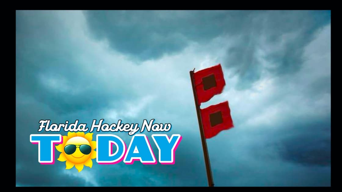 Panthers hurricanes