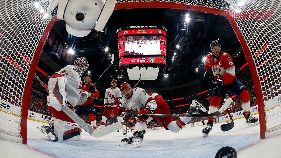 Florida panthers