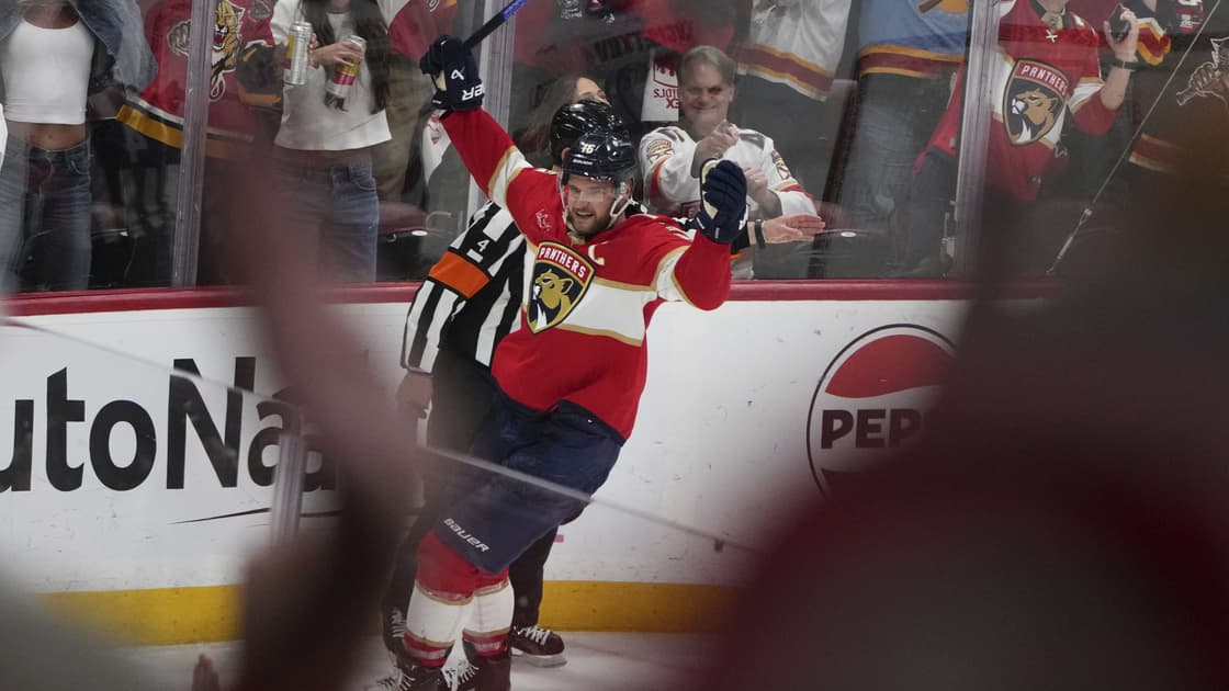 Barkov panthers