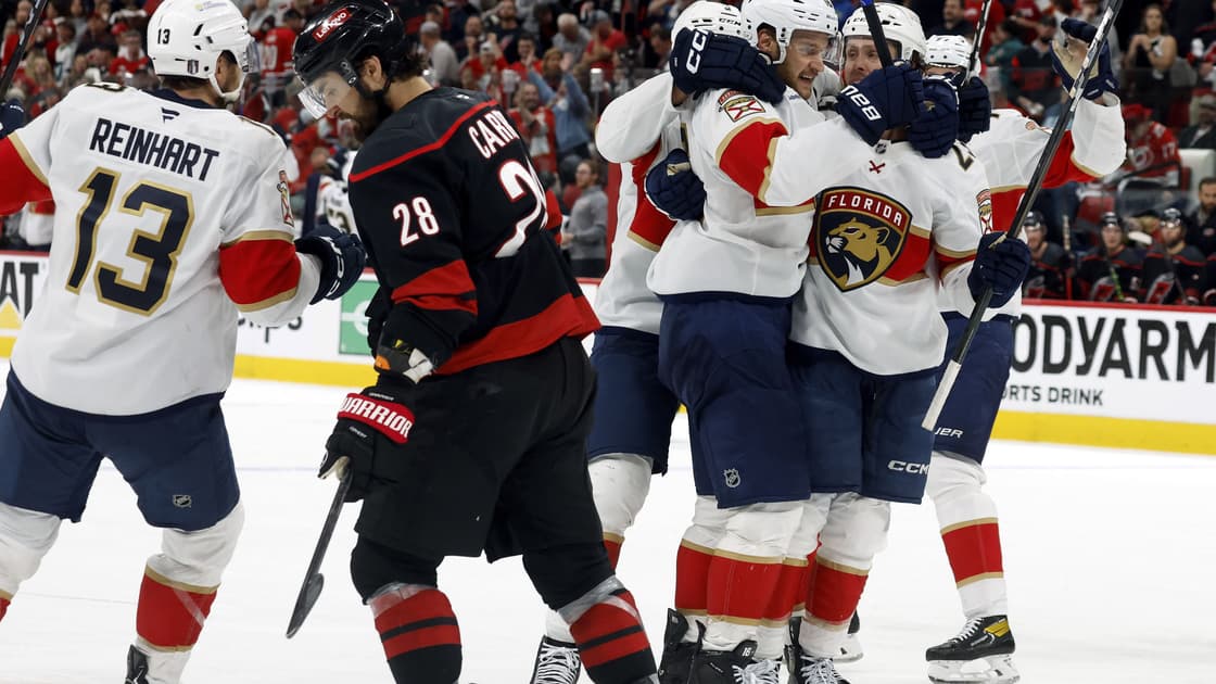 Florida panthers