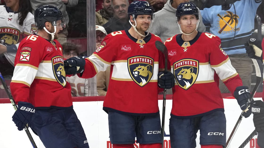 Florida panthers
