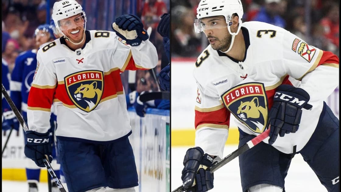 Florida panthers