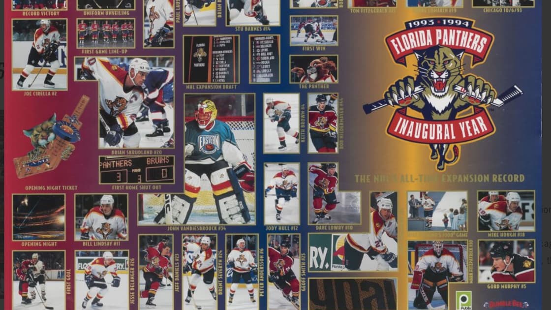 Florida panthers