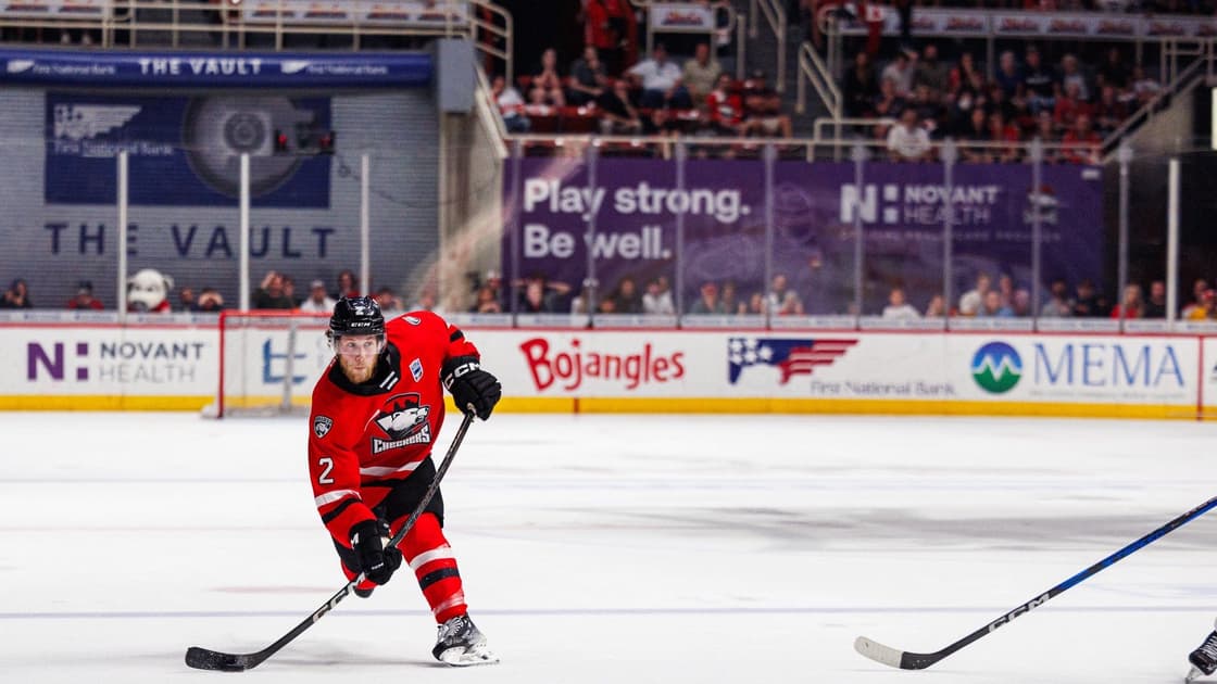 Florida panthers