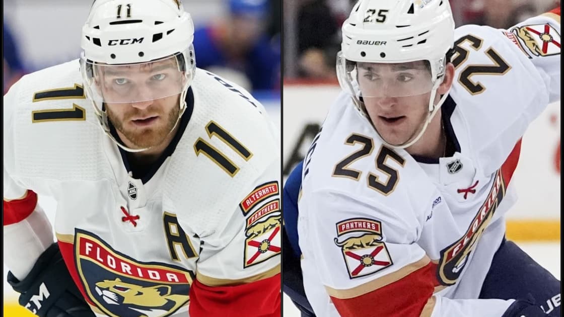 Florida panthers