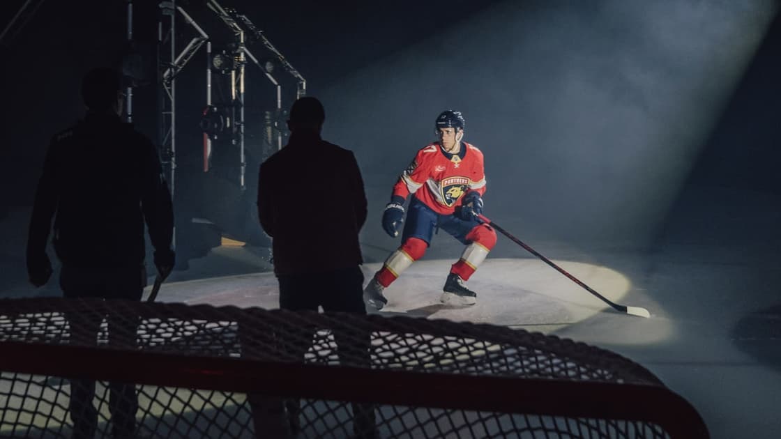 Florida panthers