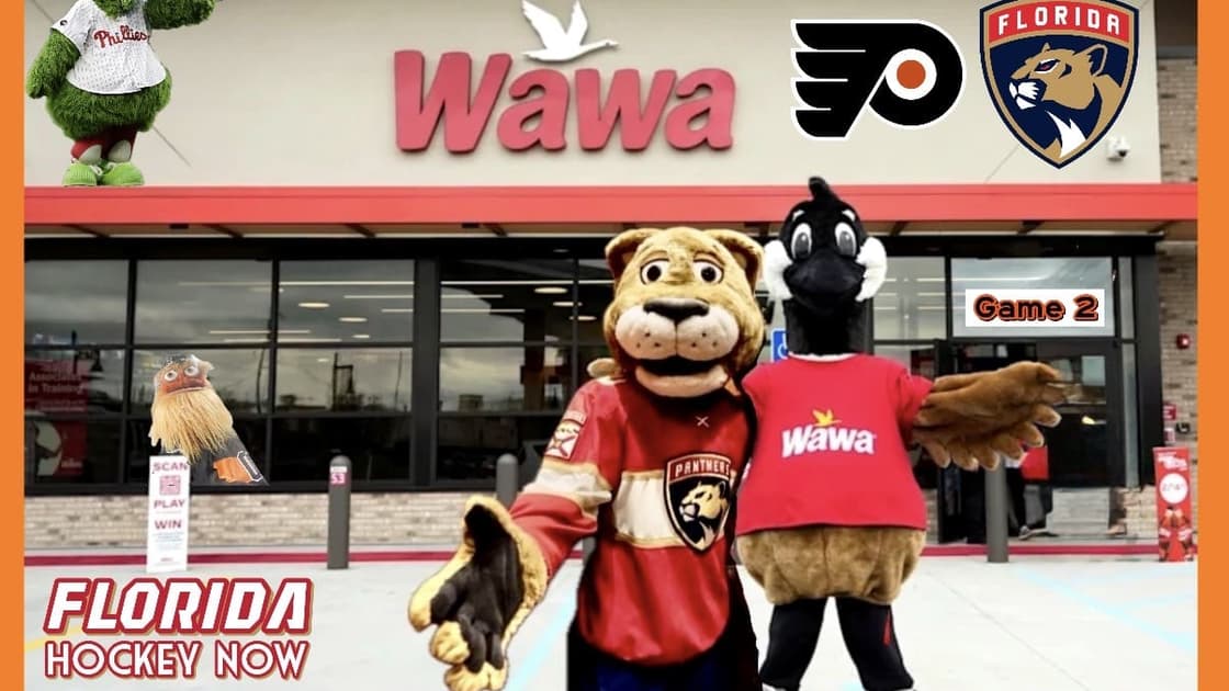 Panthers flyers