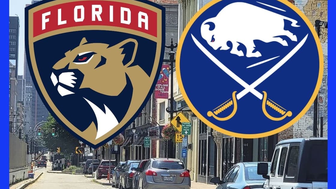 Panthers sabres