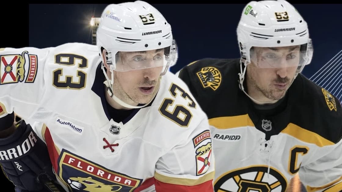 Bruins panthers