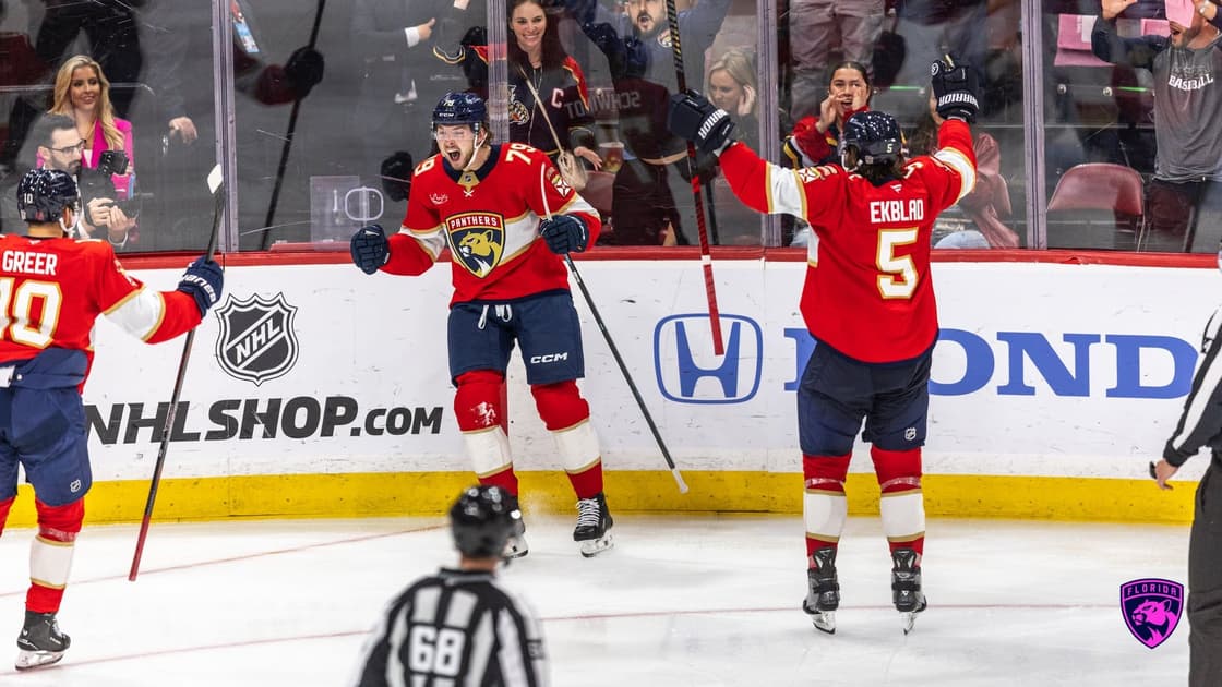 Florida panthers knights