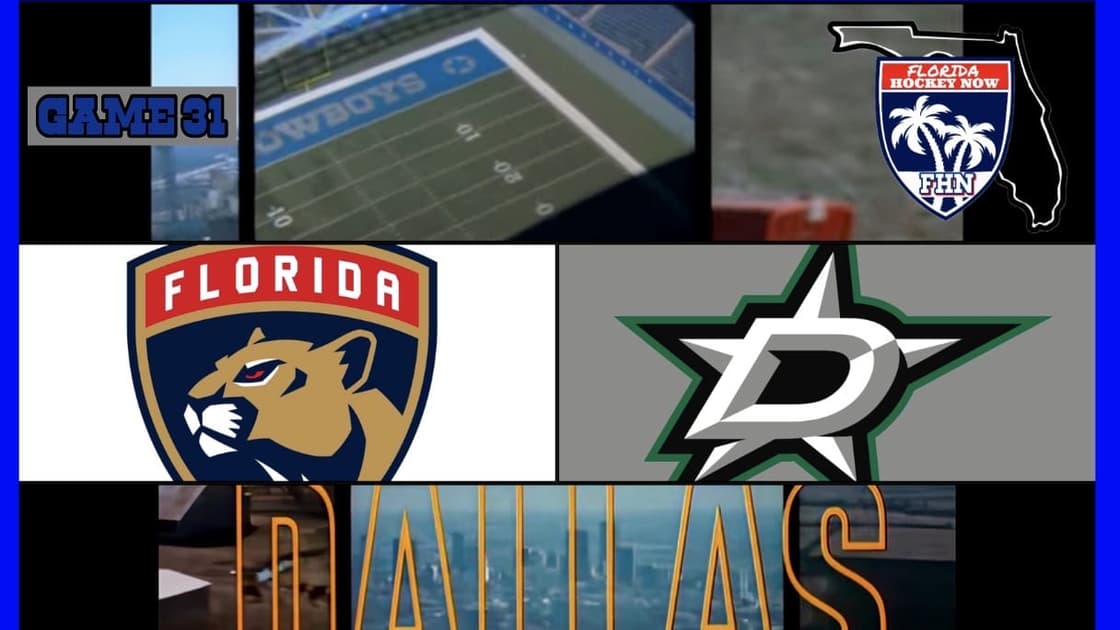 Stars panthers