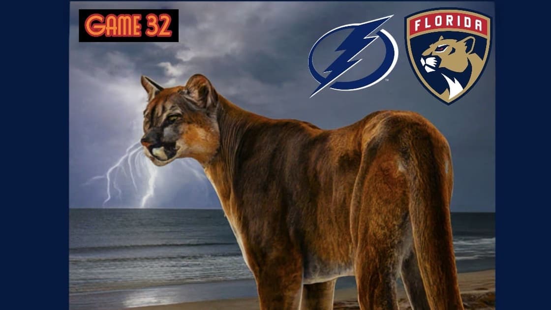 Panthers lightning