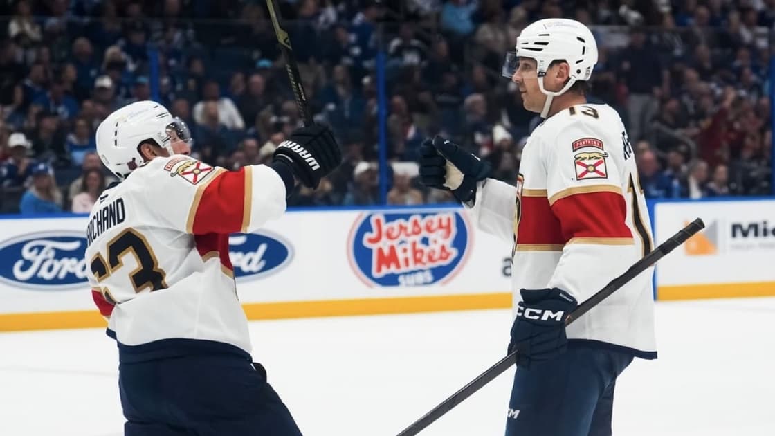 Florida panthers