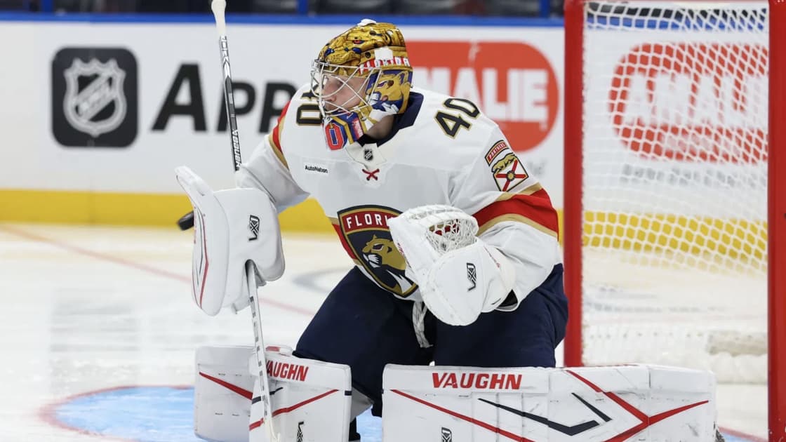 Tarasov panthers