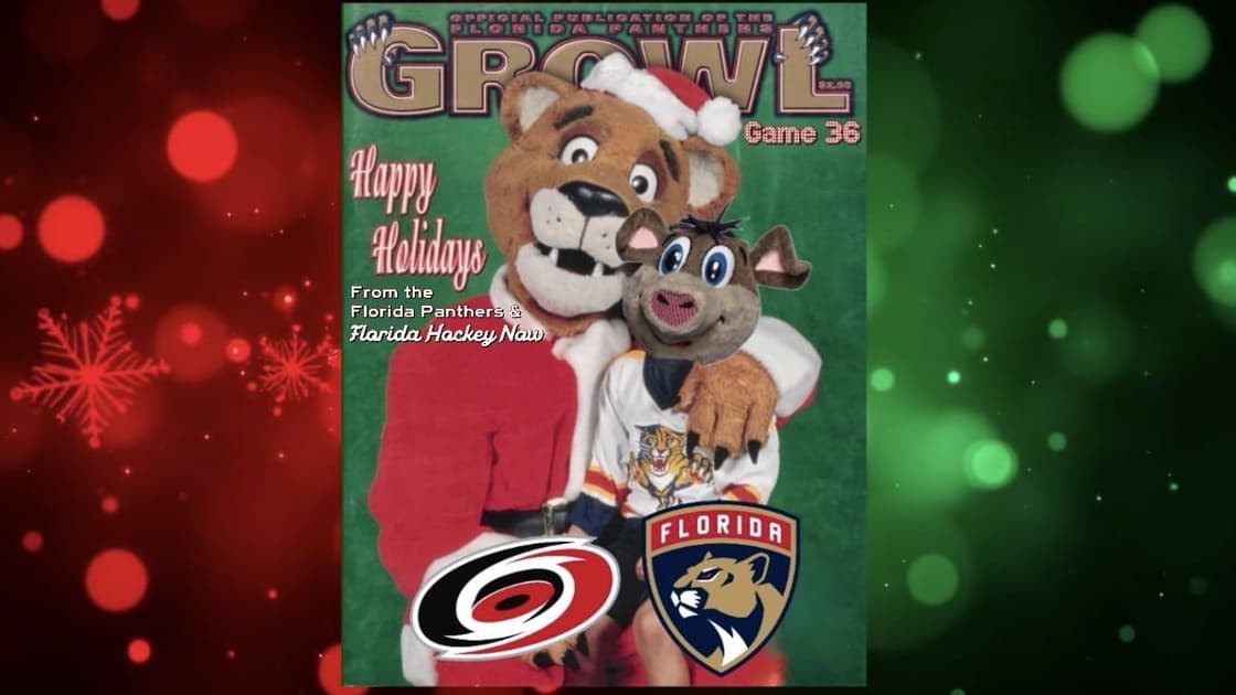 Panthers hurricanes