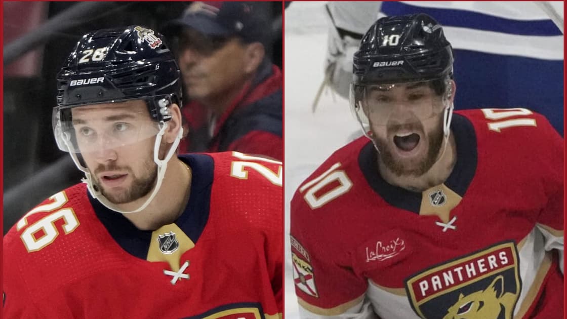 Florida panthers