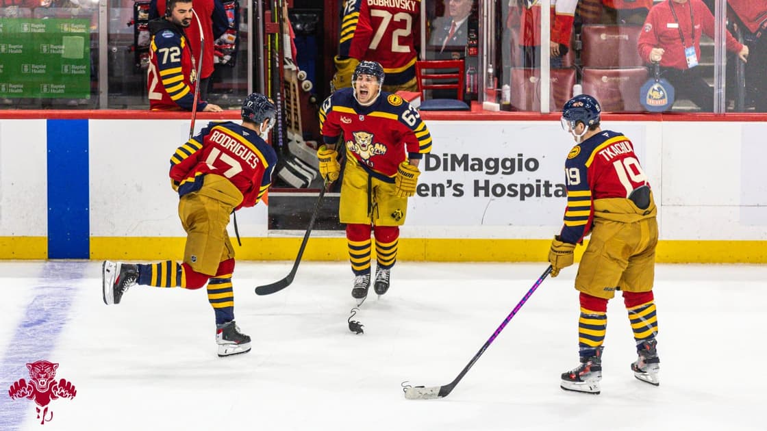 Florida panthers