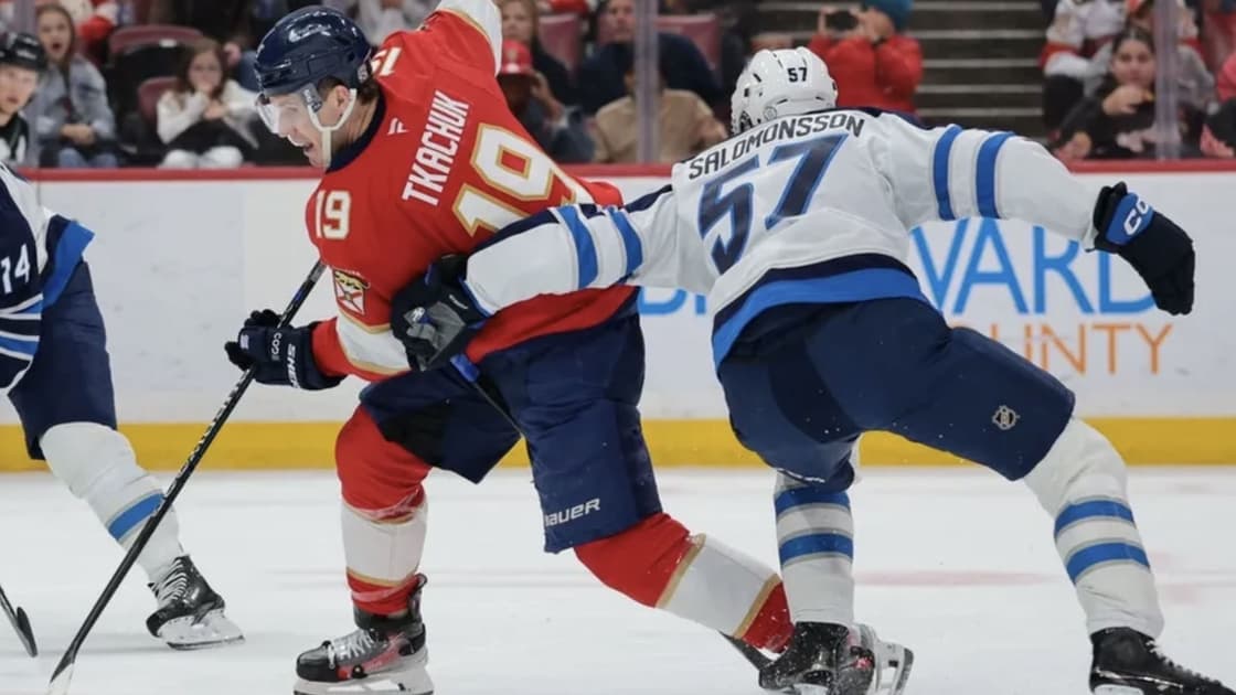 Florida panthers