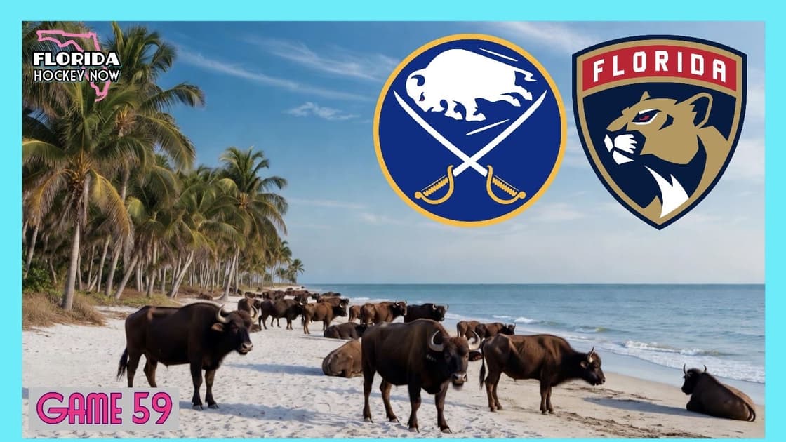 Panthers sabres