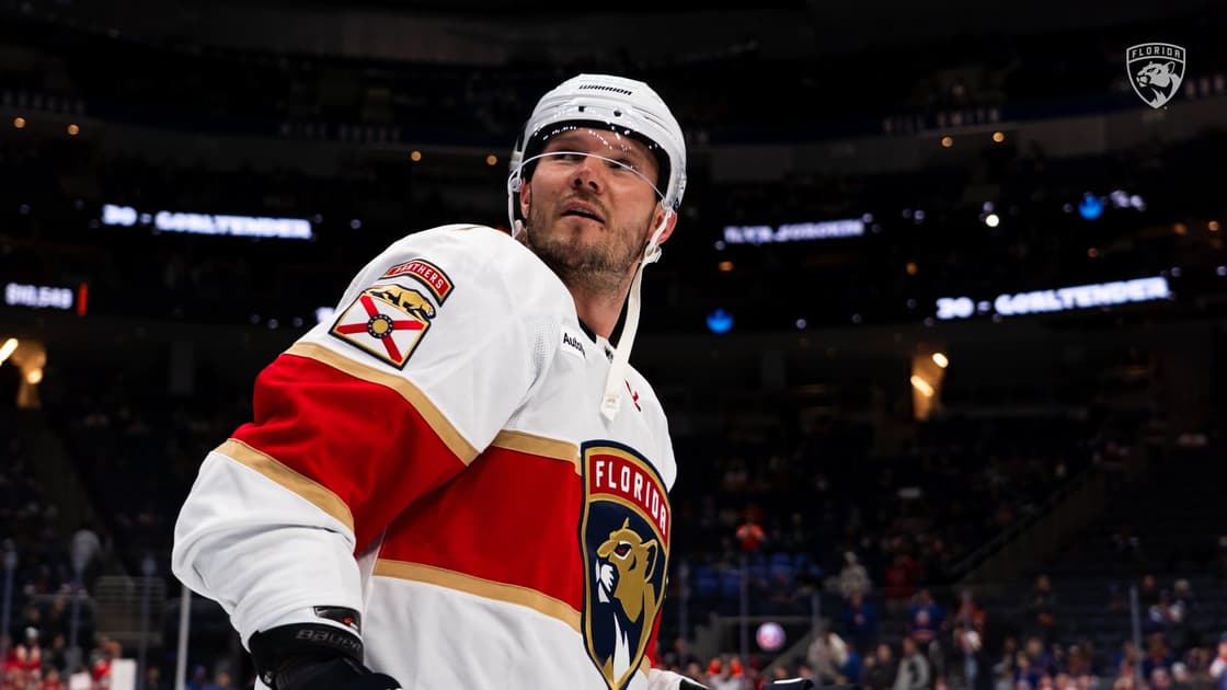 Florida panthers