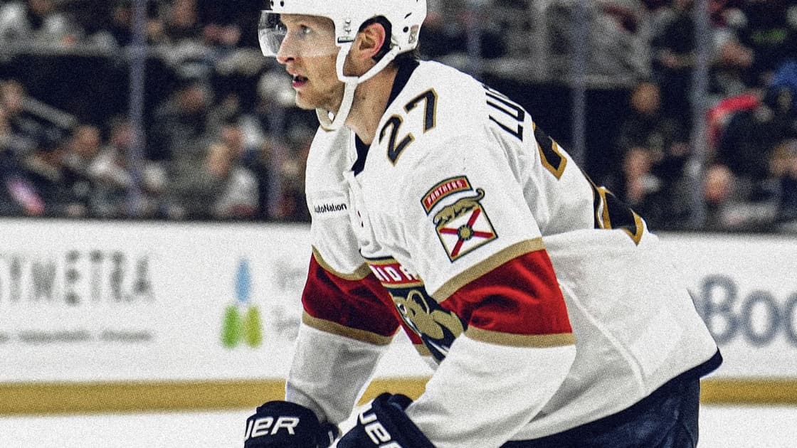 Florida panthers