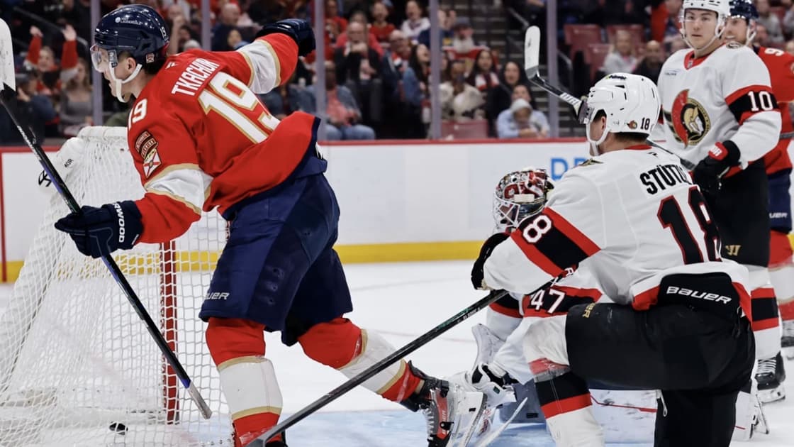 Florida panthers