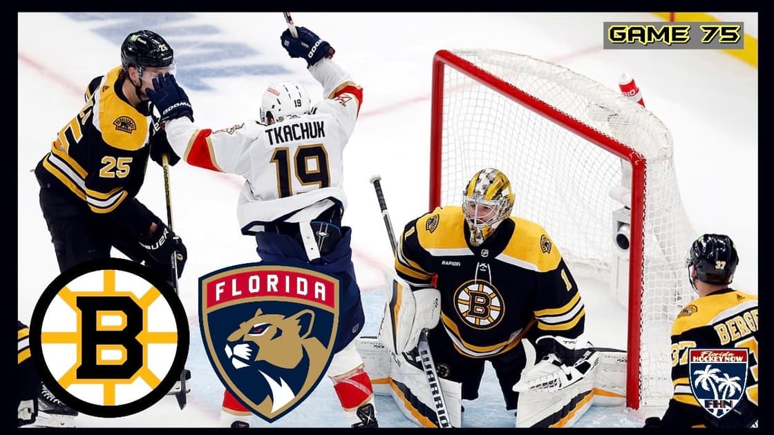 Panthers bruins