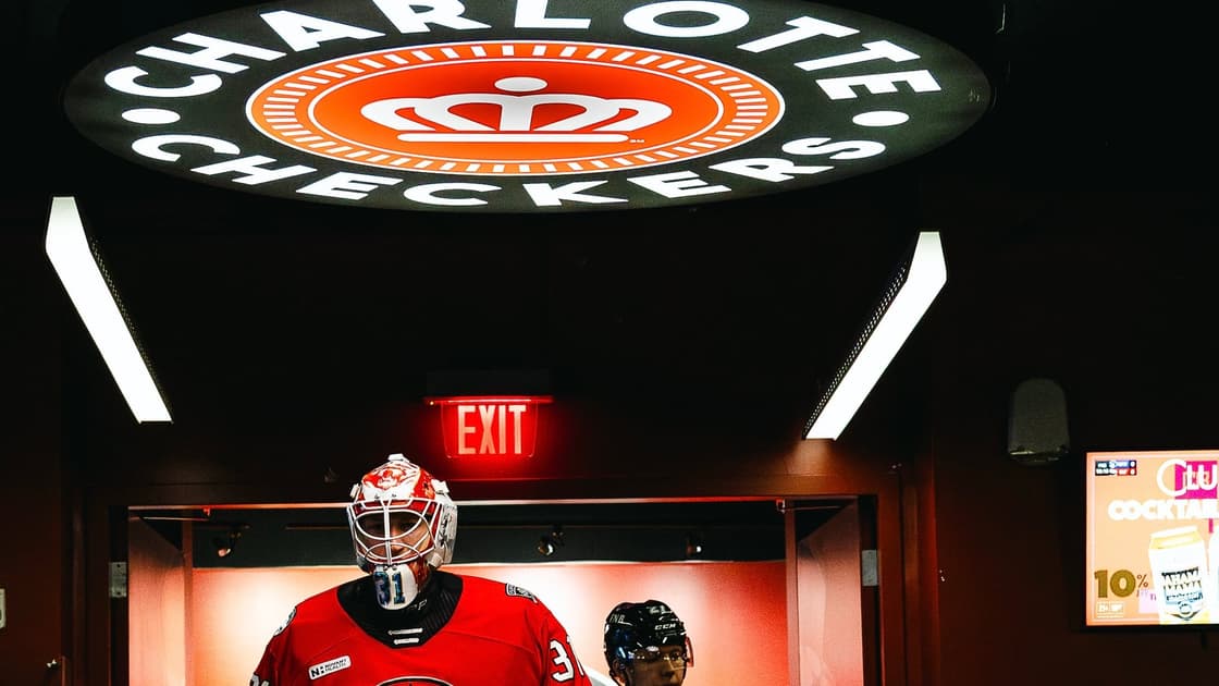 Florida panthers