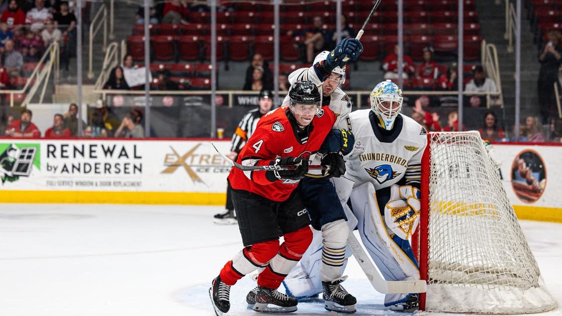 Charlotte checkers